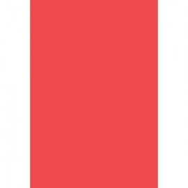 CARTULINA AMERICA ROJA CON 5 PLIEGOS ROYAL...