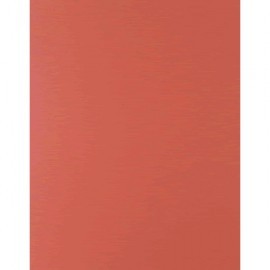 CARTULINA FASHION 65 X 50 COLOR ROJA