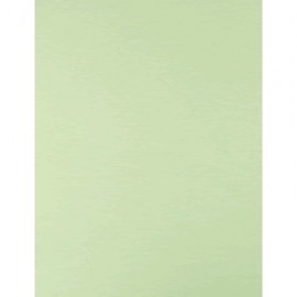 CARTULINA TAMANO CARTA VERDE PALIDO