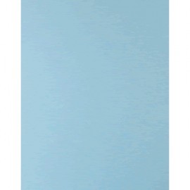 CARTULINA TAMANO CARTA COLOR AZUL CIELO