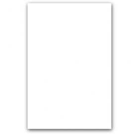 CARTULINA BLANCA CON 10 PLIEGOS ROYAL CAST