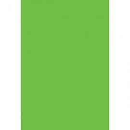 CARTULINA AMERICA VERDE CON 5 PLIEGOS...